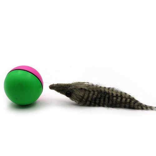 Funny Pet Dog Cat Toy Electric Beaver Weasel Rolling Ball Toy Pet SuppliesBDLI - Photo 2/8