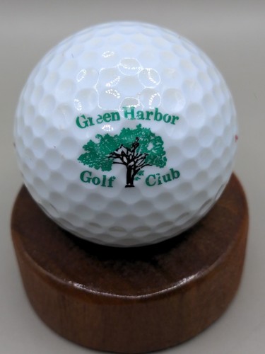 Green Harbor Logo Golfball Top Flite Sammler Displayball Golfschläger MA - Bild 8 von 8