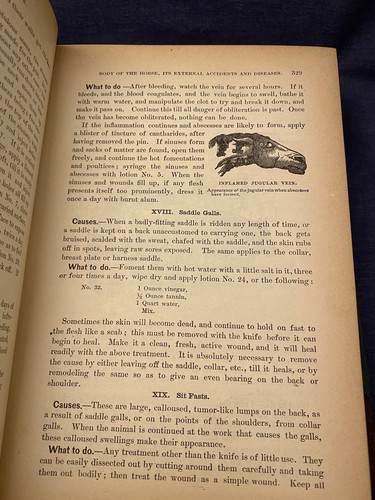 1890 American Farmer Pictorial Encyclopedia of Livestock Stock Doctor Periam - Picture 4 of 12