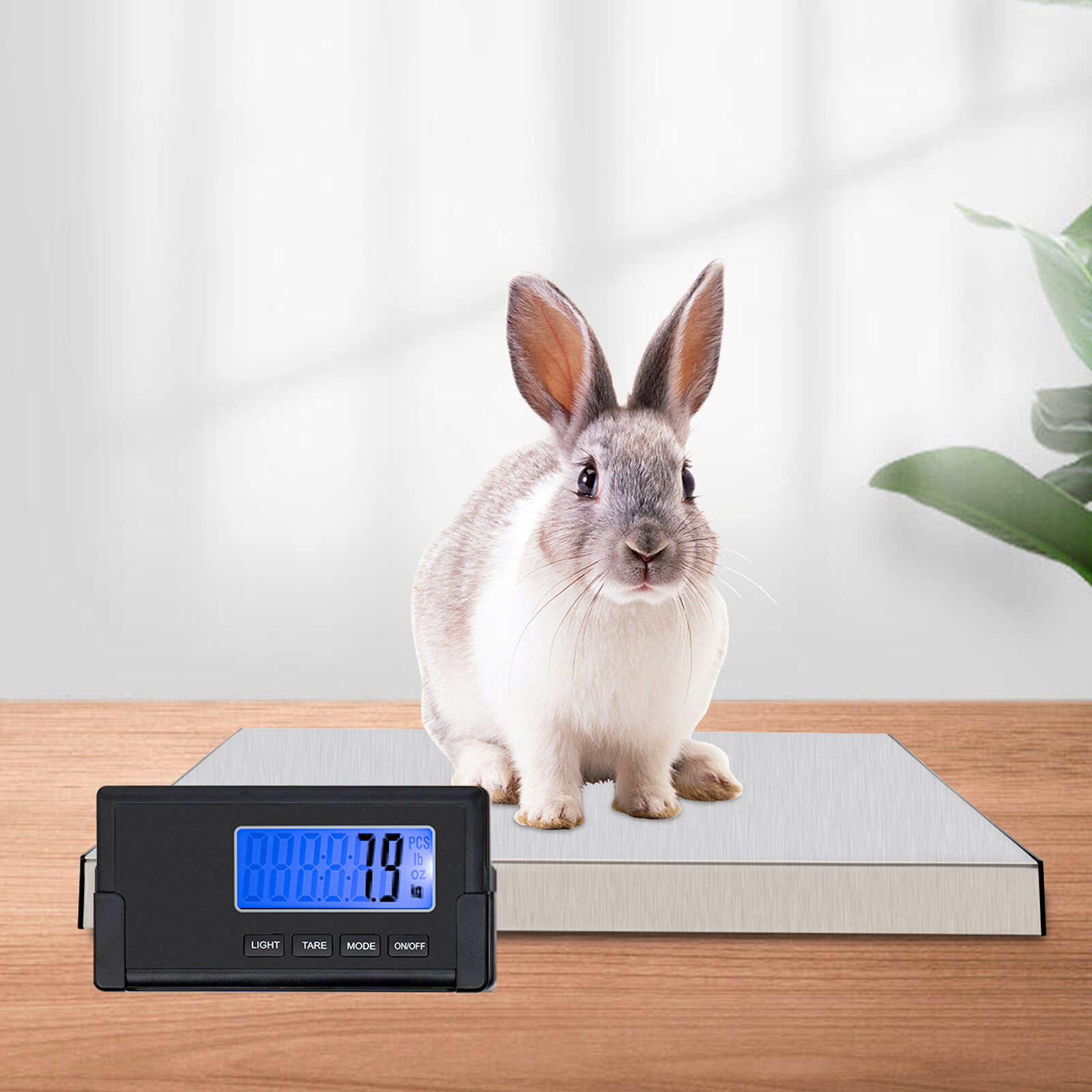 Medical High Precision Physician Digital Scale, Body Weight Doctor Weighing  Balance Health Fitness