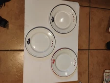 Vintage Set Of 3 Taipro Enamelware 10 In Picnic Plates