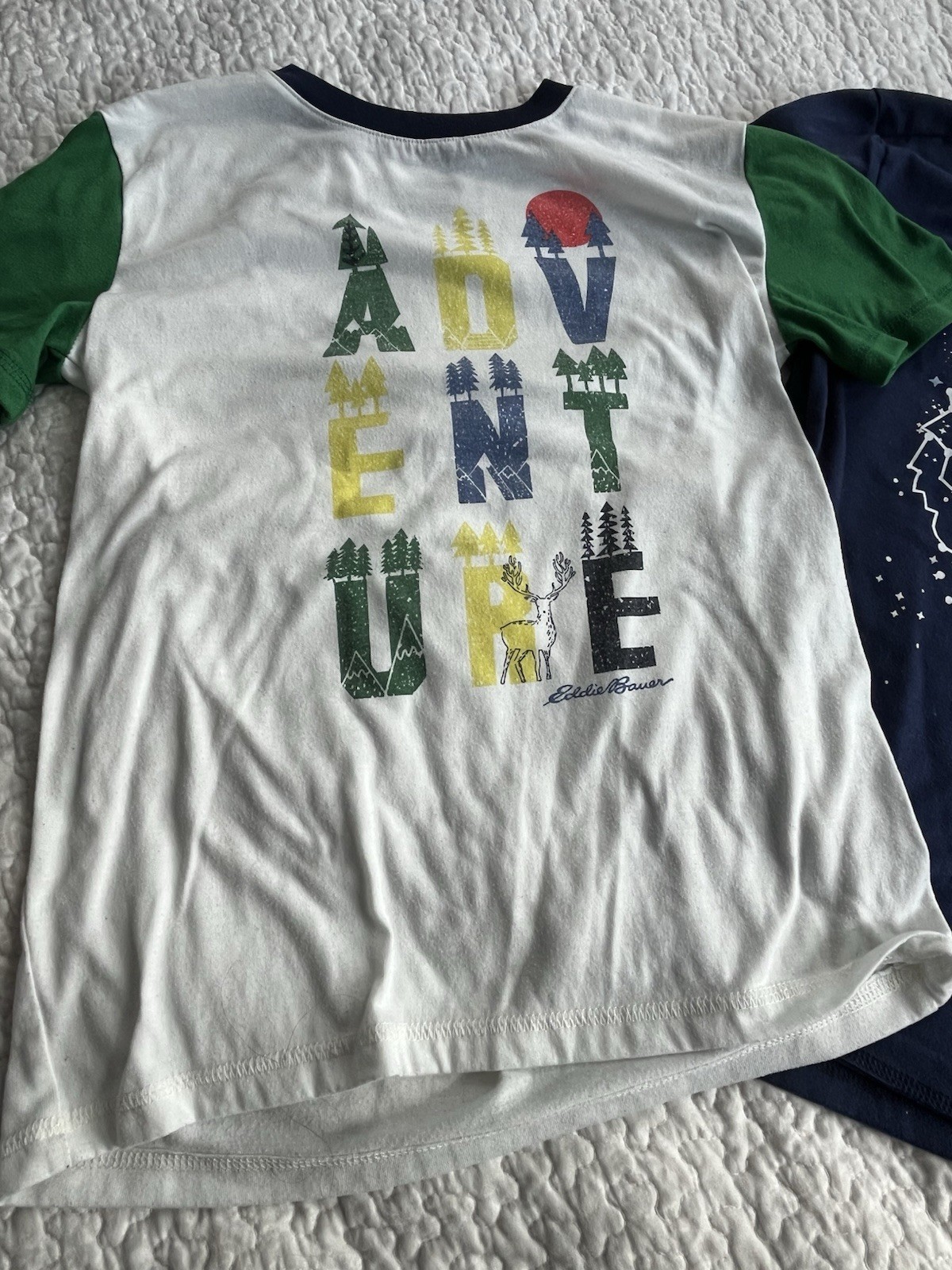 Picture 4 of 14