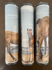 lot of 3 Brewster Wallcovering vinyl border rolls HORSES ON BEACH #313B36930