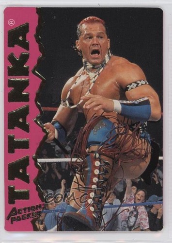 1995 Action Packed WWF Tatanka #15