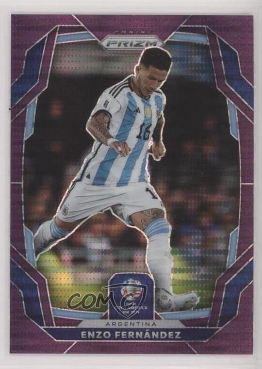 2024 Panini Prizm CONMEBOL Copa America Purple Pulsar 45/49 Enzo Fernandez 04y8