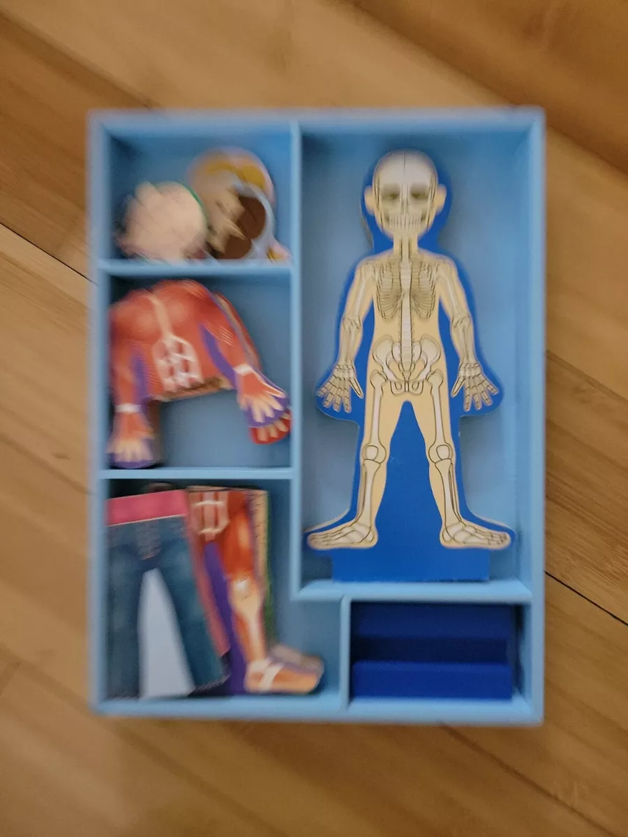 Melissa Doug Magnetic Human Body Anatomy Play Set With 24 Magnetic Pieces a