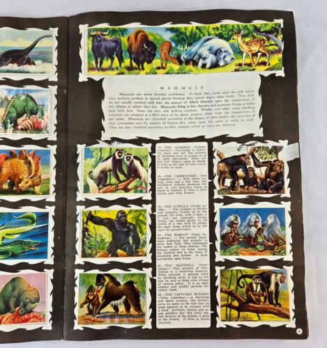 Wonders of the Animal Kingdom Sticker Book 1959 Complete with All Stickers - Picture 4 of 11