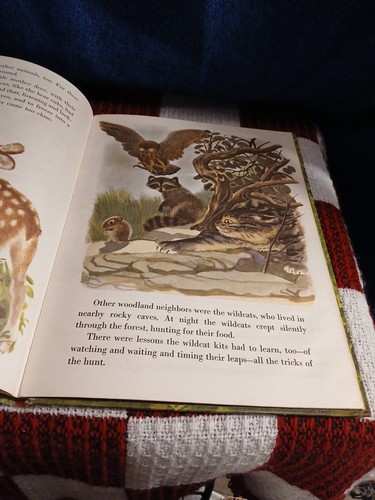 Vintage 1955 The True Story of Smokey The Bear Big Golden Book Hardcover - Picture 11 of 13