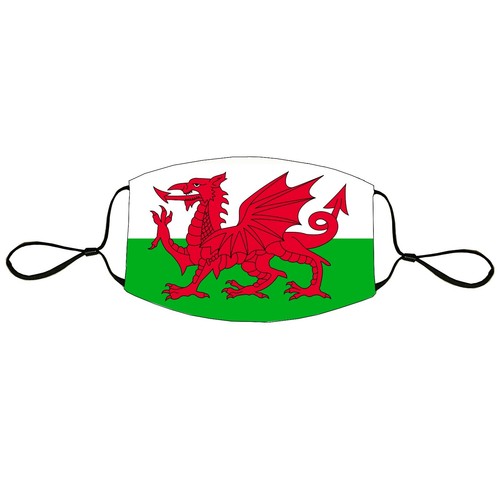 MÁSCARA FACIAL Banderas Británicas Union Jack Inglaterra Gales N.Irlanda reutilizable lavable - Imagen 11 de 16