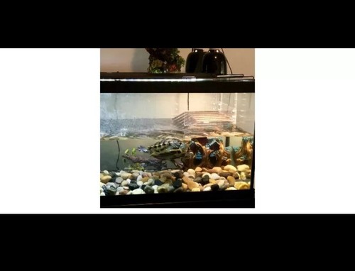 LaBrinx Wide/Large Hanging Turtle Ramp - Aquatic Reptile Basking Platform - Picture 4 of 8