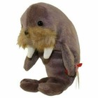 Ty Beanie Baby Plush Animal Jolly Walrus Style With Tag and Tag Protector