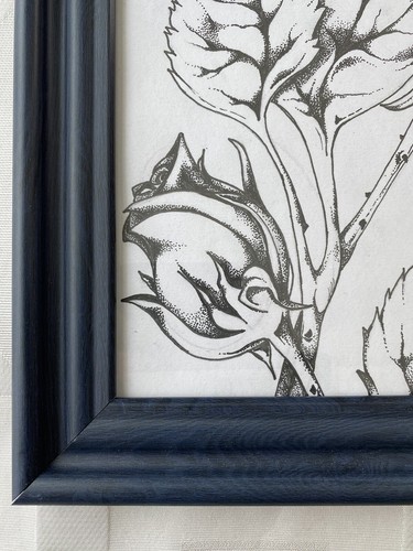 Original Signed Framed Art Rosebuds Pencil To Ink - Picture 6 of 10