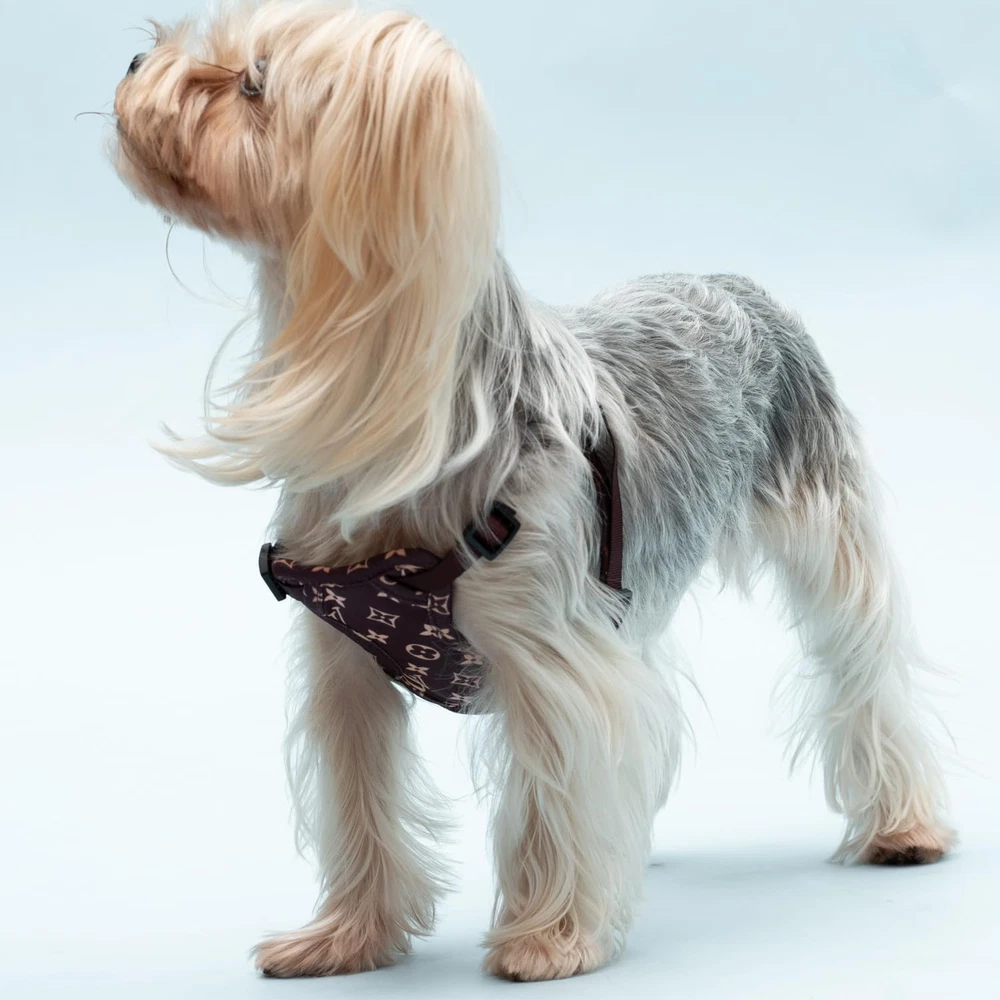 Dog Harness Dog Harness, No-Pull Pet Harness for Small Dogs Puppy Adjustable Sof