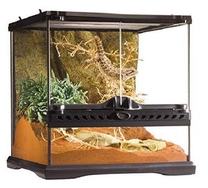 Glass Terrarium Kit Reptiles Amphibians Ventilation Window Locking Door 12X12/"