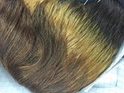 Picture 15 of 19