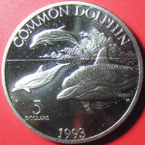 1993-MARSHALL-ISLANDS-5-COMMON-DOLPHIN-INDO-PACIFIC-OCEAN-SEALIFE-ISLAND-38mm