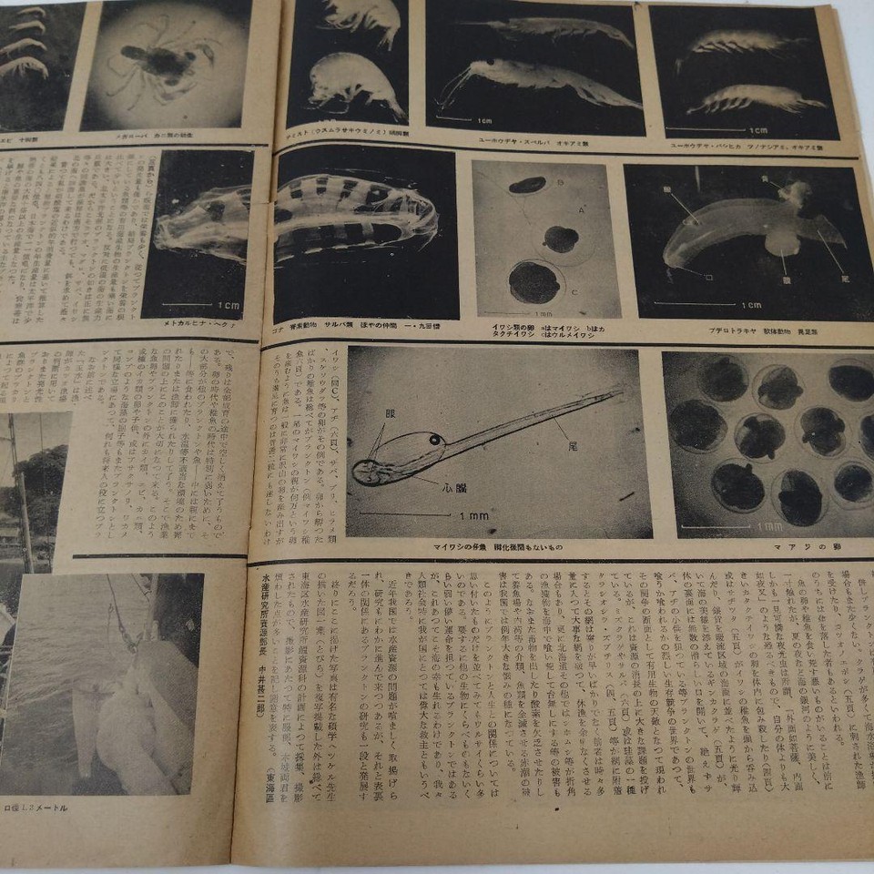 Used book Sea and Sky Graph, 1950, partially torn. QQCNWZ eBay