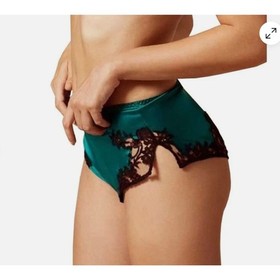 AGENT PROVOCATEUR SOIREE NAYELI Green Silk French Knicker Brief NWOT $505 RARE