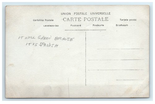 RPPC POLÍTICA SÁTIRA IL GRANDIRA CAR IL EST ESPAGNOL - Imagen 2 de 2