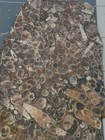 Bild 9 von 12