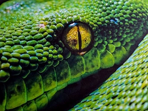 8" X 10" Smooth Fine Art Bright White Double Sided - 50 Sheets - Image 2 of 4