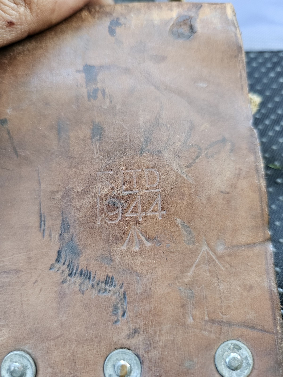 Bild 7 von 19