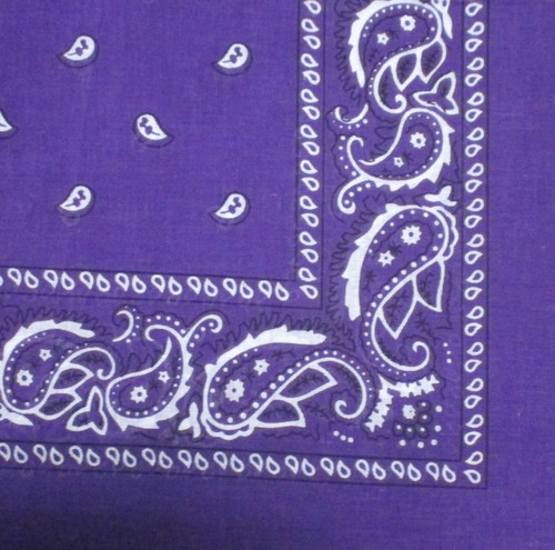 2 Pack Bandana 100% Cotton Paisley Print Double-Sided Scarf Head Neck Face Mask - Picture 20 of 24