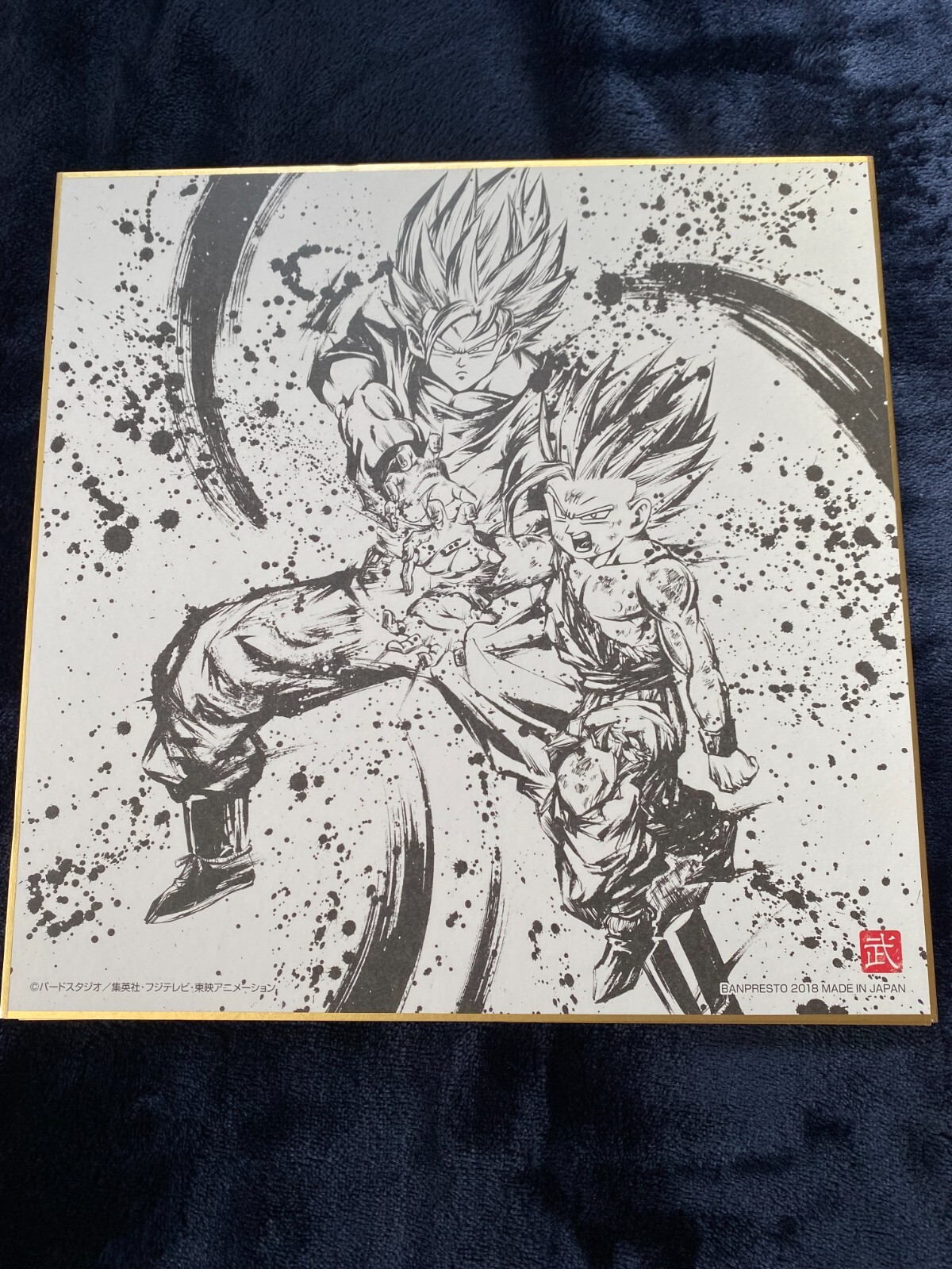 Picture 6 of 16