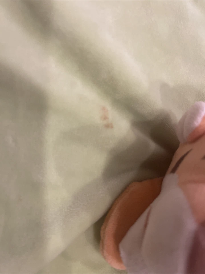 Disney Tigger Lovey Green Baby Security Blanket Winnie the Pooh Satin Trim Plush - Image 4 of 4