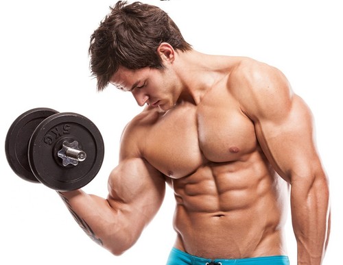Extracto de Tribulus Terrestris 1000 mg - testosterona de primera calidad - 1 bot 90 quilates - Imagen 3 de 9