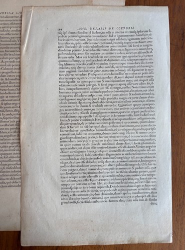 Vesalius FOURTEEN Original Leaves from Book of Anatomy 2nd Edition (1555) - Bild 14 von 16