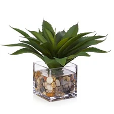 Enova Floral Small Artificial Potted Plants in Glass Vase, Faux Succulent Greene