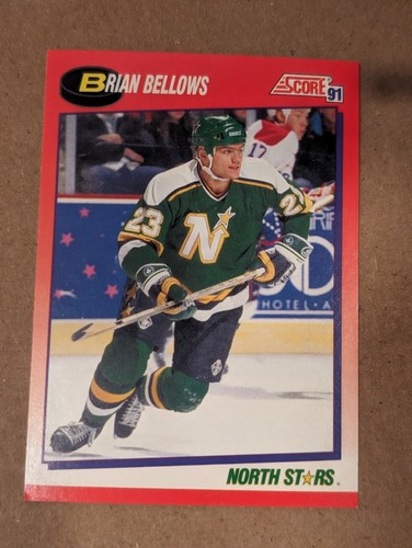 1991 Score Hockey (Canadian) #1-252 - Pick Your Cards - Bilingual EN/FR - Picture 328 of 519