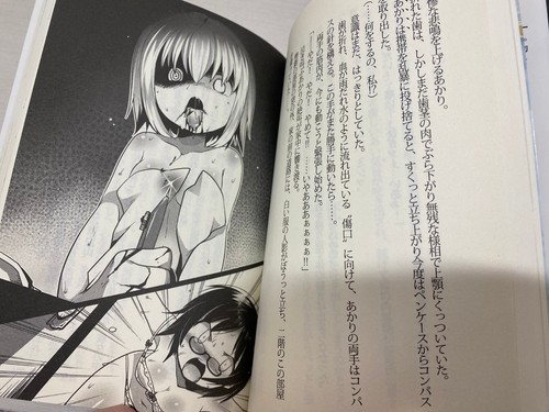 USADO CEMENTERIO FIESTA CADÁVER 0 novela japonesa - Imagen 6 de 10