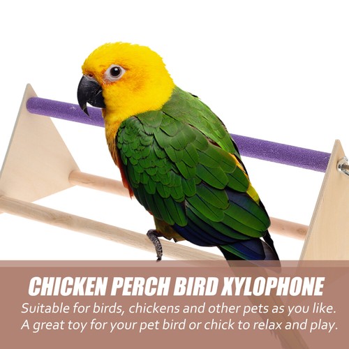 Poulet perchoir bar perroquet balançoire offres oiseaux jouets cage à oiseaux échelles balançoire hamster