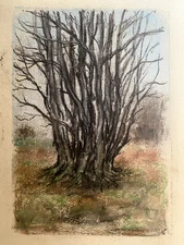 Franz Ehmke 1928 - 2018 Berlin Pastel Trees With Many Branches Without Leaves