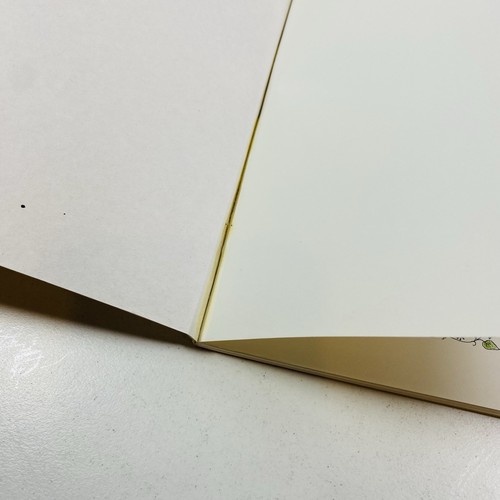4 Lot Calligraphy- Made Easy, Work Book, Thread, Illuminated - Bild 13 von 20