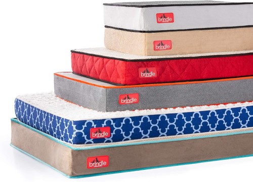 4-Inch Joint Relief Memory Foam Bed for Small Dogs - Machine Washable & Cozy - Picture 6 of 9