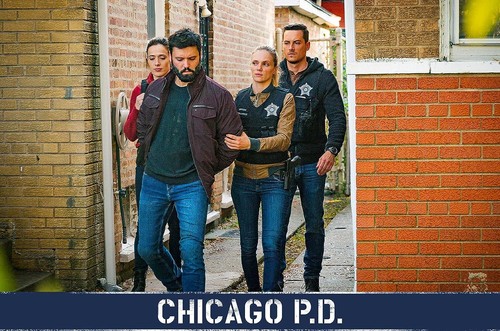 Chicago P.D. - Season 8 (DVD) - Picture 6 of 10
