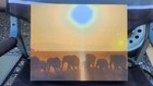 Elephant Sunset - 11 x 14 Canvas