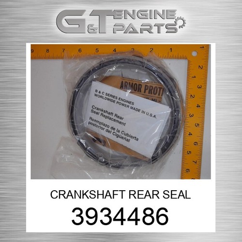 3934486 SELLO TRASERO CIGÜEÑAL SE ADAPTA A CUMMINS (NUEVO MERCADO DE ACCESORIOS) - Imagen 3 de 3