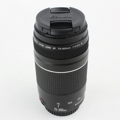 Canon EOS Rebel T7 DSLR Camera with 18-55 IS II and 70-300 III Lenses - Picture 7 of 11