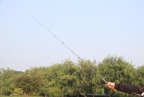 Lure Fishing Rods 1.5m 1.68m 1.8m Carbon Rod Spinning Casting Rod Fishing Poles - Picture 17 of 45