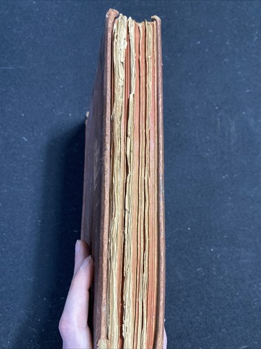 The World Of Wonders 1873 Illustrated Scarce - Picture 3 of 7