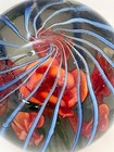 Bild 7 von 9