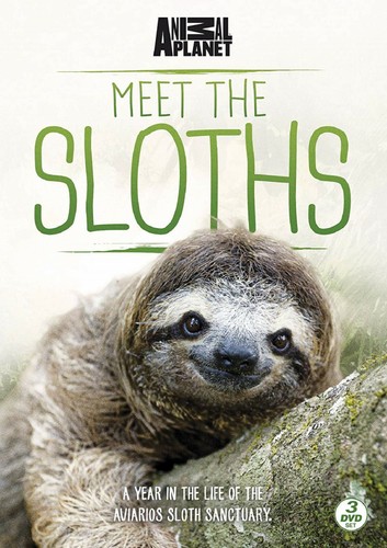 Meet The Sloths - 3 DVD SET - BRAND NEW SEALED ANIMAL PLANET region 2 uk - Afbeelding 1 van 2