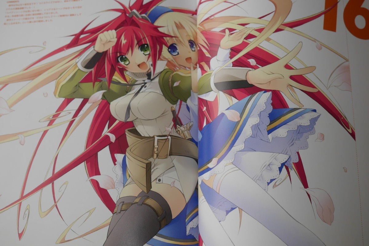 JAPAN Yukari Higa 15th Art Works (The Familiar of Zero) | eBay