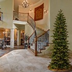 Picture 2 of 6