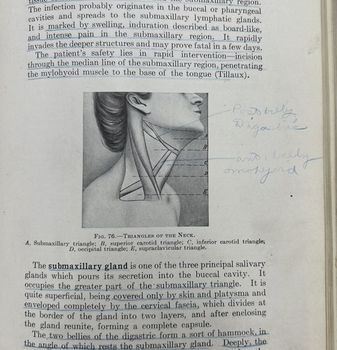 A Text Book of Surgical Anatomy 1908 By William Francis Campbell - Picture 12 of 12