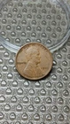 1909 Lincoln Wheat Cent Penny XF                                            Y930